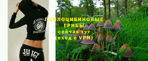 a pvp Алексеевка