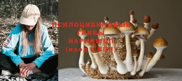 метадон Алексин