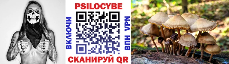 kraken как войти  Дегтярск  Галлюциногенные грибы Psilocybine cubensis 